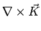 $\displaystyle \nabla\times\vec{K}$