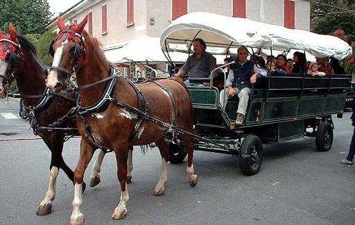 Carrozza_cavalli.jpg