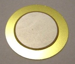 capsula piezoelettrica.jpg