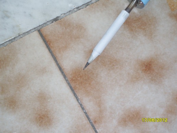 SDC14850 (600 x 450).jpg