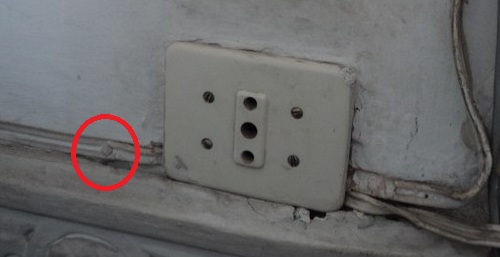 chiodino vs piattina.jpg