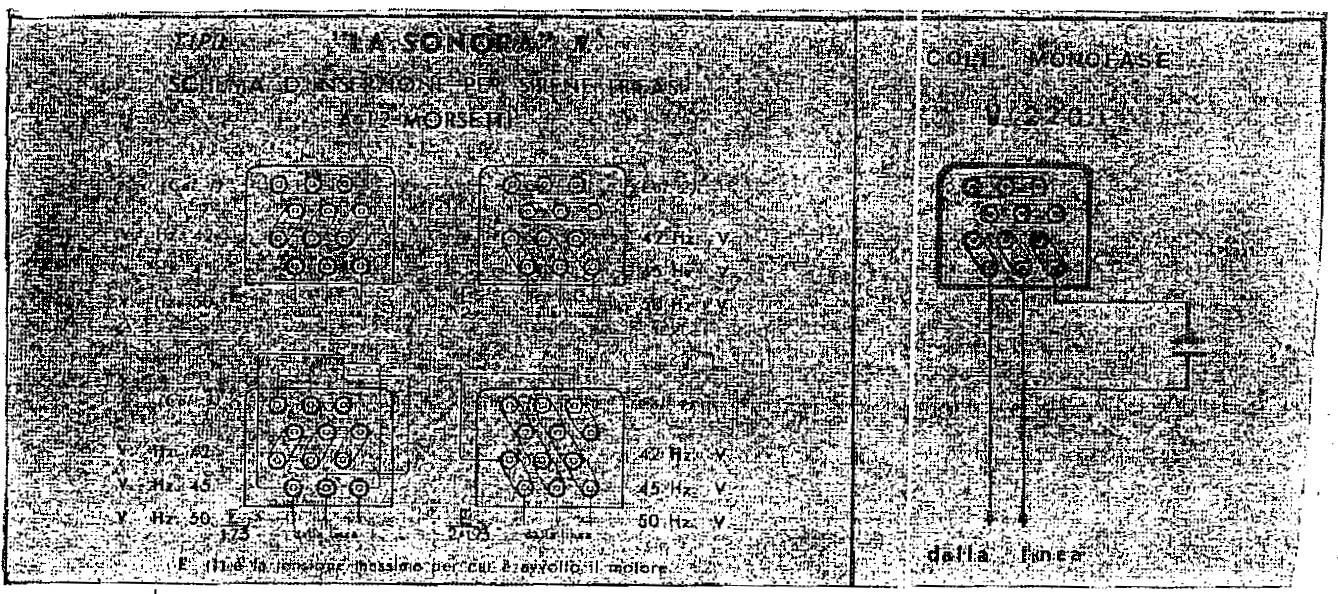 Domanda sirena img 3.jpg