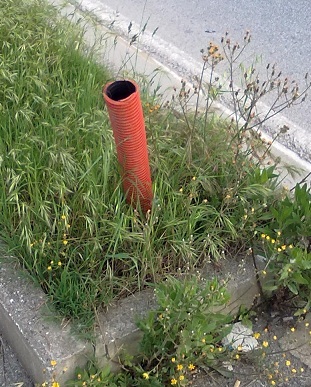 corrugati primaverili.jpg