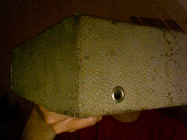 Dietro coso audio.jpg