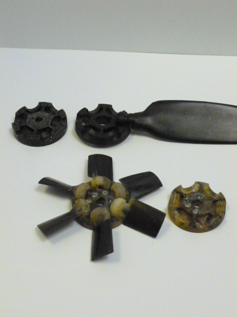 Copia di P1000823.jpg