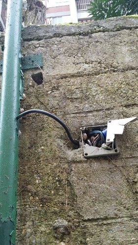 la natura che si riprende i suoi spazi.jpg