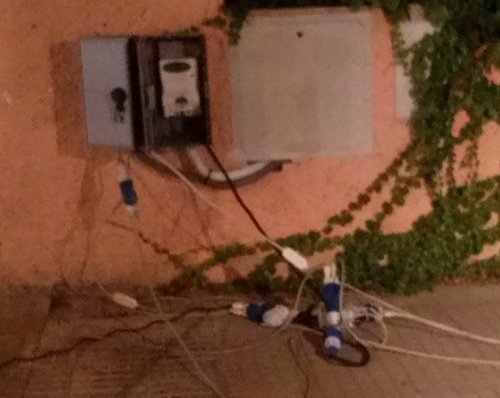 ...una doppia spina.jpg