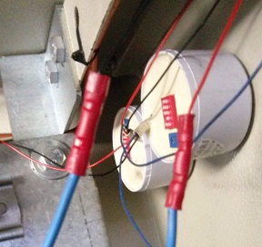 giunta conduttori.jpg