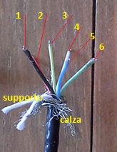 conduttore schermato.jpg