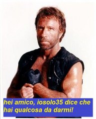 Chuck-norris-002_193x240.jpg