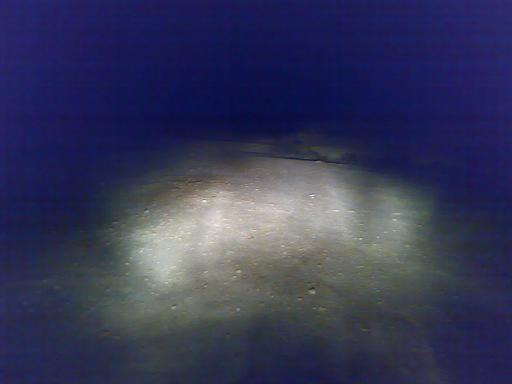 Faro basso campo.jpg