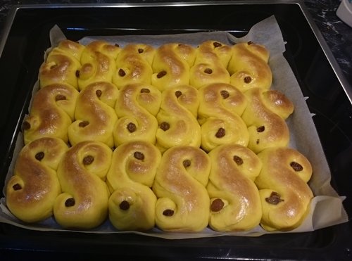 lussekatter.jpg