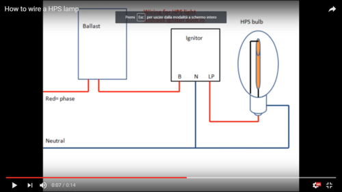 Cattura di schermata (3).png