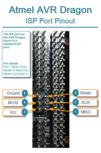 AVRDRAGON PIN.jpg