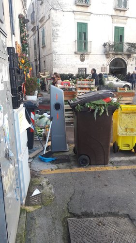 WhatsApp Image 2019-01-02 at 11.42.24.jpeg