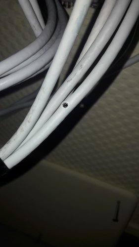 WhatsApp Image 2019-01-10 at 10.47.21 (1).jpeg