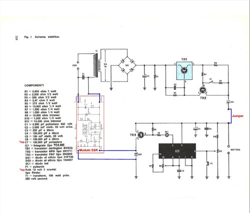 Schema con 1 SSR per alternata.jpg