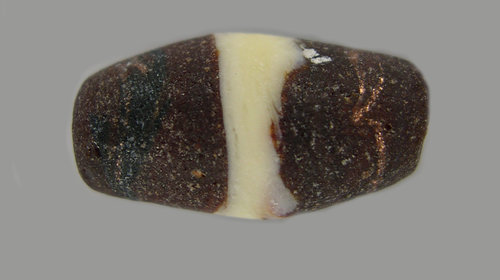 perla fenicia copia (1).JPG