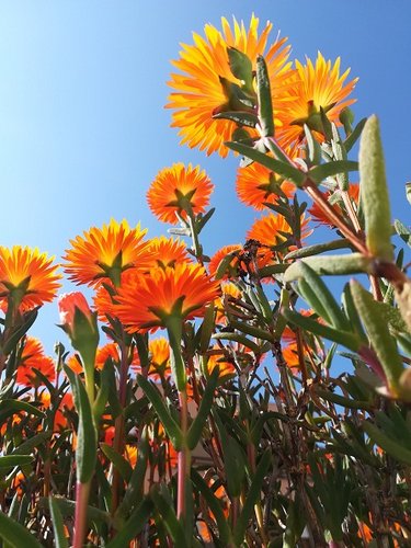 in un silenzio surreale ...jpg