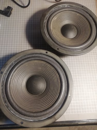 woofer3.jpg