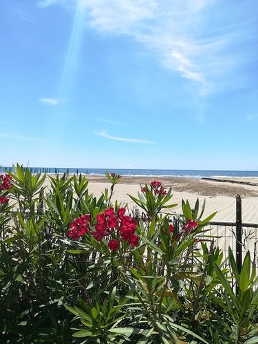 Maggio_20_stabilimenti in preparazione.jpg