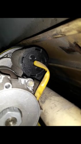 2020-07-02 21.20.33.jpg