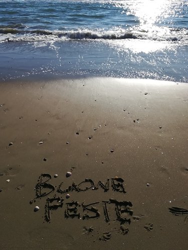 Buone Feste.jpg