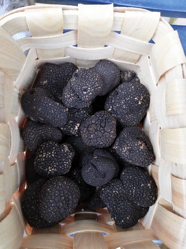tartufi.jpg
