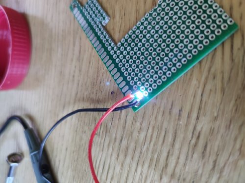 1629371234522 (Piccola).jpg