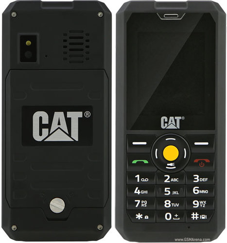 cat-b30.jpg