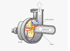 Schermata 11-2459542 alle 22.29.06.png