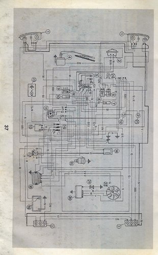 274163653_10223631709555111_7001944092710479674_n (1).jpg