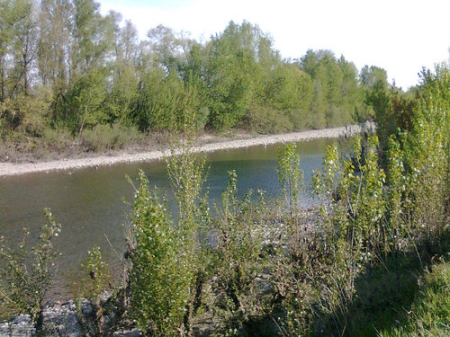 Argine_fiume_2.jpg