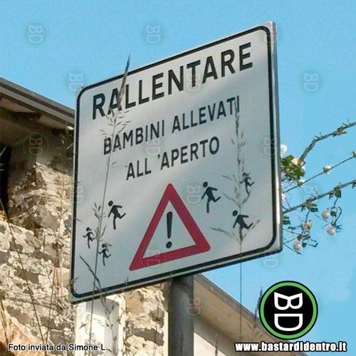 allevati-all-aperto.jpg