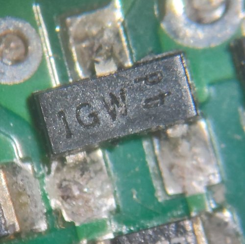 Immagine WhatsApp 2024-09-25 ore 00.41.07_2cd83e53.jpg