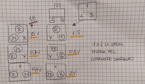 Immagine WhatsApp 2024-09-25 ore 00.41.07_9780ddf3.jpg