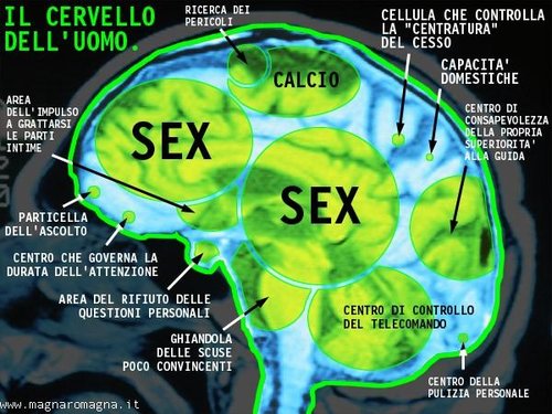 Cervello-uomo.jpg