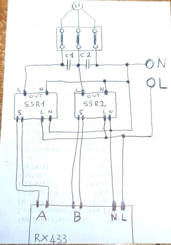 WhatsApp Image 2024-12-11 at 15.24.29.jpeg