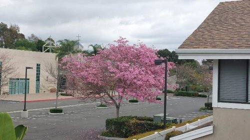 WhatsApp Image 2025-03-03 at 23.51.24_1478133e.jpg