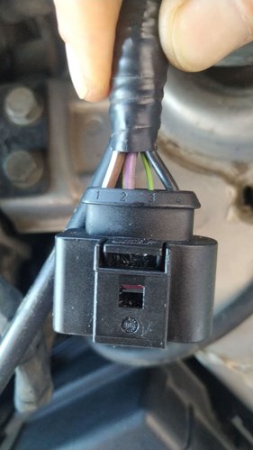 IMG_20250501_095658 (2) (1).jpg