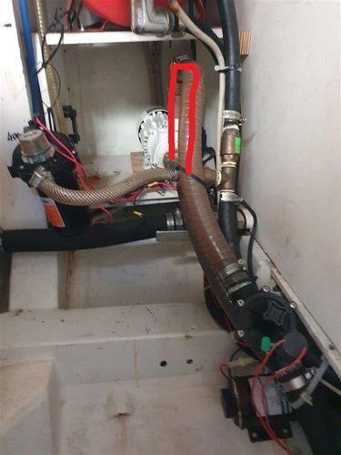 sifone (756 x 1008).jpg