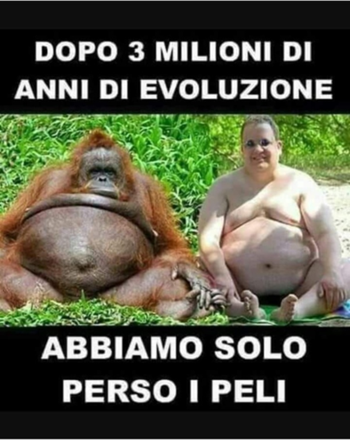 evoluzione.png