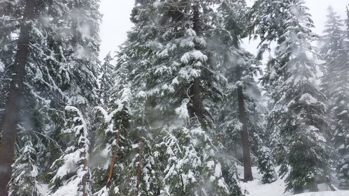 2025-06-21 at 23.02.07_ea3419d3.jpg