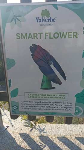 smart flower cartello.jpg