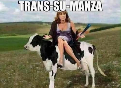 transumanza.jpg