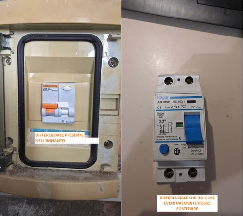 Immagine WhatsApp 2025-11-08 ore 14.27.05_6aaadc61.jpg