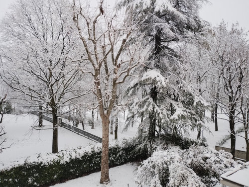 Neve_a_Bologna_20260106.jpeg
