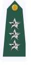 Tenente Generale.PNG