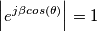 \left |e^{j\beta cos(\theta)} \right |=1
