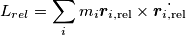 L_{rel}=\sum_i m_i \boldsymbol{r}_{i,\text{rel}} \times \dot{\boldsymbol{r}_{i,\text{rel}}}